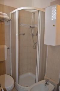 W łazience znajduje się prysznic, toaleta i umywalka. w obiekcie Hotel San Marco w mieście Francavilla al Mare