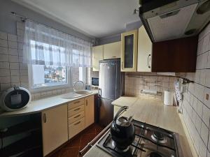 a kitchen with a sink and a stove top oven at GLAMOUR Apartment in Poznań +4 photos