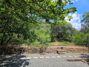 a parking lot with a stone wall and trees at Peace of Nature in Bloemfontein +1 photo