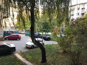 Vonkajšia záhrada v ubytovaní ZagrebFun