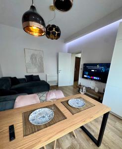 TV a/nebo společenská místnost v ubytování Govi Apartment al pieno centro di Tirana