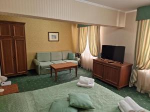 TV a/nebo společenská místnost v ubytování Danube Hotel & Spa