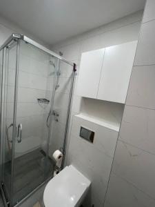 ein Badezimmer mit Toilette und Glasdusche in der Unterkunft Apartman Andrea Lux in Zlatibor