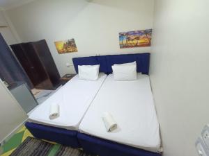 Llit o llits en una habitació de New Pyramids hostel