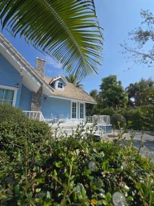 a blue house with a palm tree at Baan Fah Chiangrai in Chiang Rai