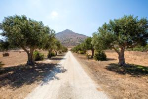 a dirt road with trees and a mountain in the background at Il Borgo Del Principino in Favignana