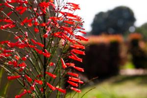 Zahrada ubytování Close to Ziwa Rhino Sanctuary- Butiti Ranch B&B Stay