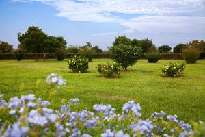 Zahrada ubytování Close to Ziwa Rhino Sanctuary- Butiti Ranch B&B Stay