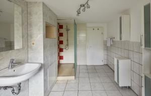 a bathroom with a sink and a shower at Bademeusel in Straupitz +8 photos