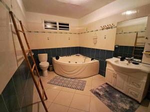 ポワント・ノワールにあるMagnifique maison créole, 3 chambres, vue merの浴槽、トイレ、洗面台を備えたバスルーム +32枚の写真