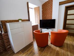 TV o dispositivi per l'intrattenimento presso Apartmány 13 Přízemí 1