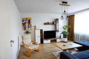 TV a/nebo společenská místnost v ubytování Bethlen Apartman