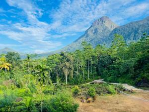 Gallery image of Palabaddala Tea and Eco Lodge in Ratnapura