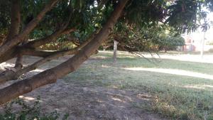 Zahrada ubytování Camping Lafetá