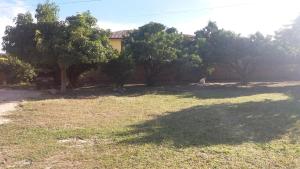 Zahrada ubytování Camping Lafetá