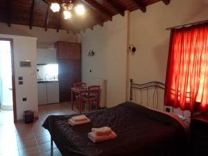 Kuchyň nebo kuchyňský kout v ubytování Alonaki Guesthouse
