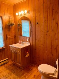 a bathroom with a sink and a mirror and a toilet at Stella by Starlight in Tobermory +37 photos