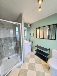 a bathroom with a shower and a toilet at Valmy in Brantôme +12 photos