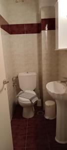 a bathroom with a toilet and a sink at Terra Mare apartments in Porto Heli +29 photos