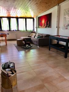 a living room with a dog standing on a rug at Casa vacanze Conte in Sannicandro di Bari