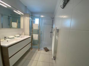 ein Badezimmer mit Waschbecken und Dusche in der Unterkunft Maison 3 chambres, Parking, jardin, climatisation in Arles + 19 Fotos