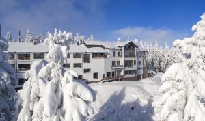 a building covered in snow with trees in front of it at Hotel Orion in Abertamy