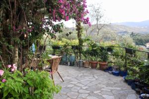 - une terrasse avec une bande de plantes en pot et un banc dans l'établissement Rustico tra gli Ulivi, à Rapallo 9 autres photos
