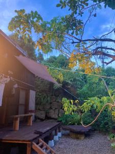 Kebun di luar 島宿屋久島