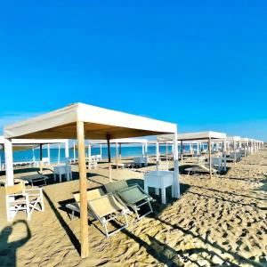 Gallery image of Regina Beach Holiday Apartments in Tirrenia