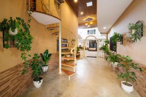 伊基托斯Apart Hotel La Rivera的摆满盆栽和螺旋楼梯的走廊