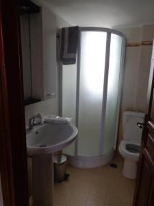 a bathroom with a shower and a sink and a toilet at Alonaki Guesthouse in Plátanos