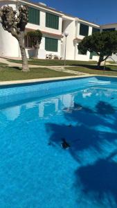 Kolam renang di atau dekat dengan Apartamento Forcat 25