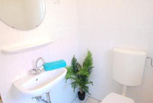 a bathroom with a toilet and a sink and a plant at Ferienhaus Veldhoen in Norddeich +5 photos