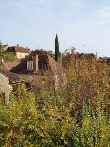 a group of houses in a city with trees at Gîte de Louis - Vue imprenable - centre de Domme in Domme +4 photos