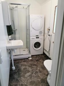 a bathroom with a washing machine and a sink at Guldklimpens Vandrarhem in Gunnarn