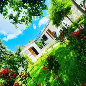 Zahrada ubytování Casa San Juan 560 + 11 fotografií