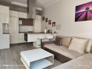 Kuchnia lub aneks kuchenny w obiekcie Grand-Tourist Apartments K2004 Simple Rest