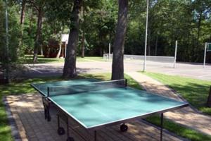 Stolný tenis v ubytovaní Filarówka alebo v jeho okolí