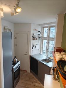 Foto dalla galleria di Copenhagen Central Apartment a Copenaghen