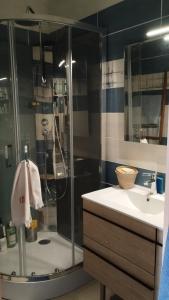 a bathroom with a shower and a sink and a shower at Maison de vacances ou chambres d'hôtes belle campagne auvergnate in Saint-Julien-la-Geneste