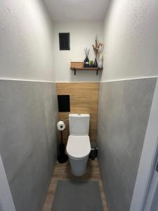 a bathroom with a white toilet in a room at Apartament Prestige in Grudziądz +5 photos