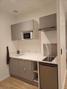 a kitchen with a sink and a microwave at Suite romantique - jacuzzi privé, Wi-Fi & Netflix à Châtel in Châtel-Guyon +9 photos