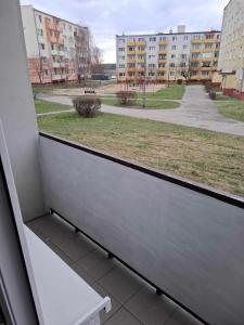 a window with a bench looking out at a park at Apartament 50 m z balkonem na parterze in Bydgoszcz