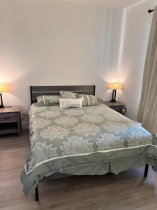 a bedroom with a large bed with two lamps at Sweet getaway 6 min from EWR in Elizabeth