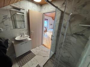 a bathroom with a shower and a sink at Phönix1 in Teugn