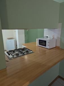 アスティにあるOddone Houseのキッチンカウンターの上に置かれた電子レンジ