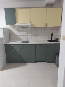 a kitchen with green cabinets and a sink at Apartments Vink in Vir