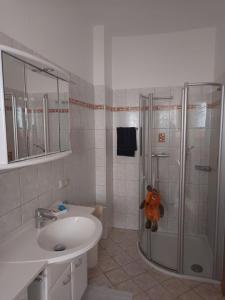 a bathroom with a shower and a sink and a toilet at Im Hochparterre relaxen in Breitenbach am Herzberg