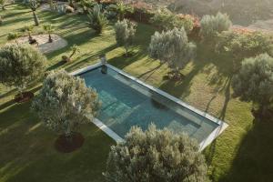 an overhead view of a swimming pool in a field with trees at La Pausa " LA PAUSITA" in Tías