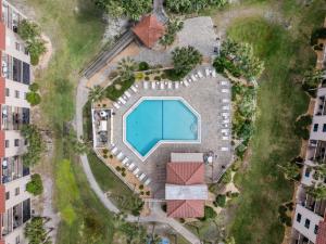 Πισίνα στο ή κοντά στο Ocean Village Club O31